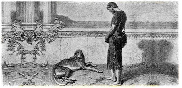  «Ο άνθρωπος και η κοινωνία των σκύλων» του Μ. Γ. Μερακλή