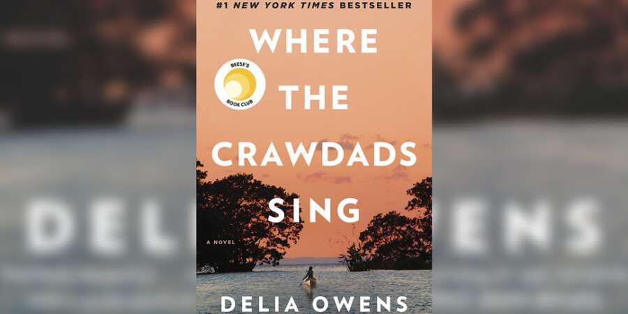 «Where The Crawdads Sing»: Ένα απρόσμενο μπεστ σέλερ