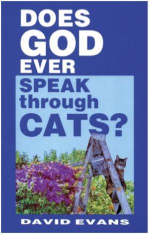 Μήπως ο Θεός μάς μιλά μέσα από τις γάτες;